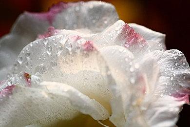 部分新游戏销售“疲软”导致世嘉游戏利润大幅下降